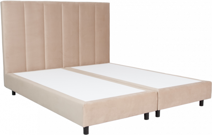 DARETTA – Bild 4