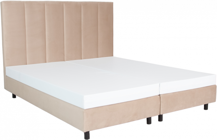 DARETTA – Bild 3